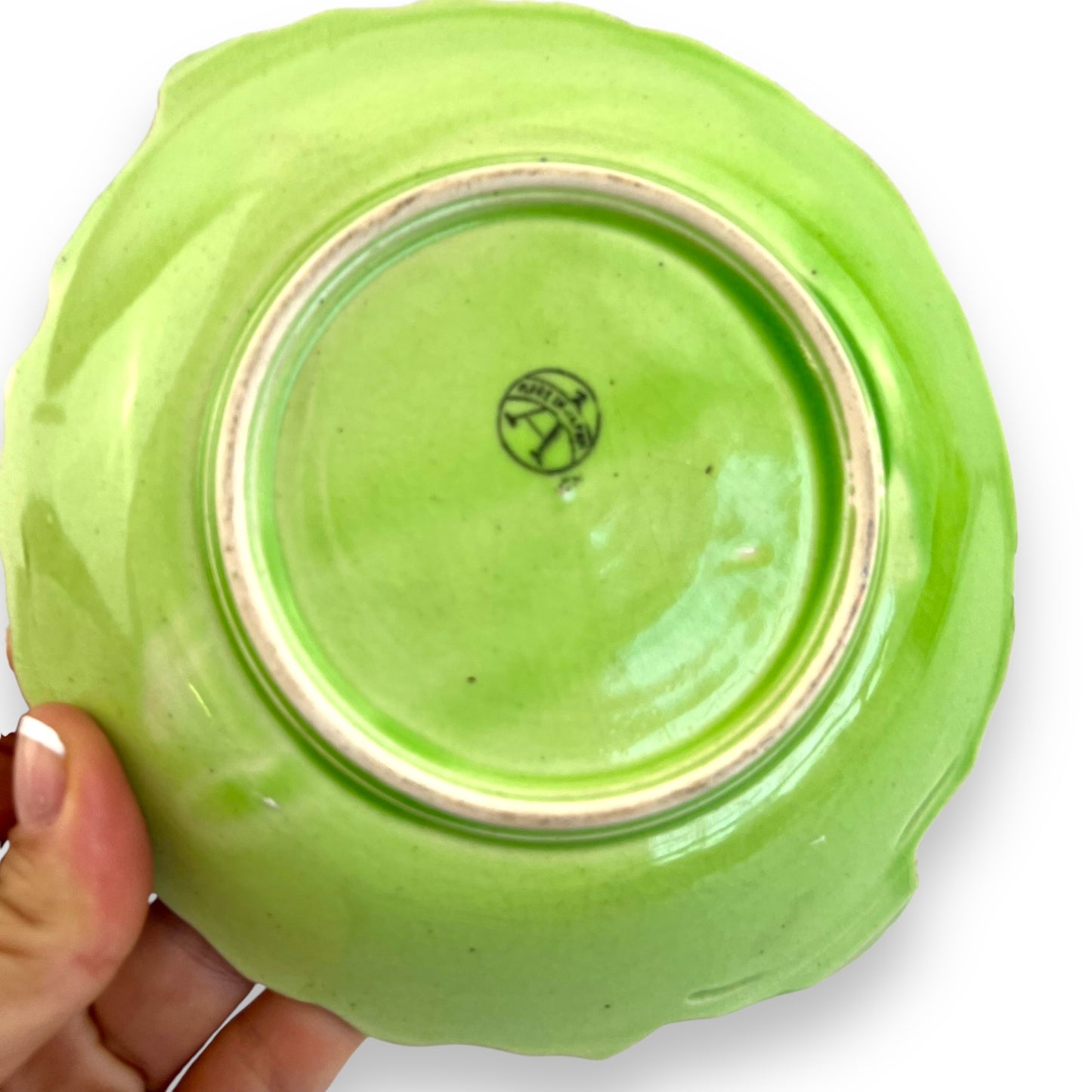 Green Cabbage Leaf Plate