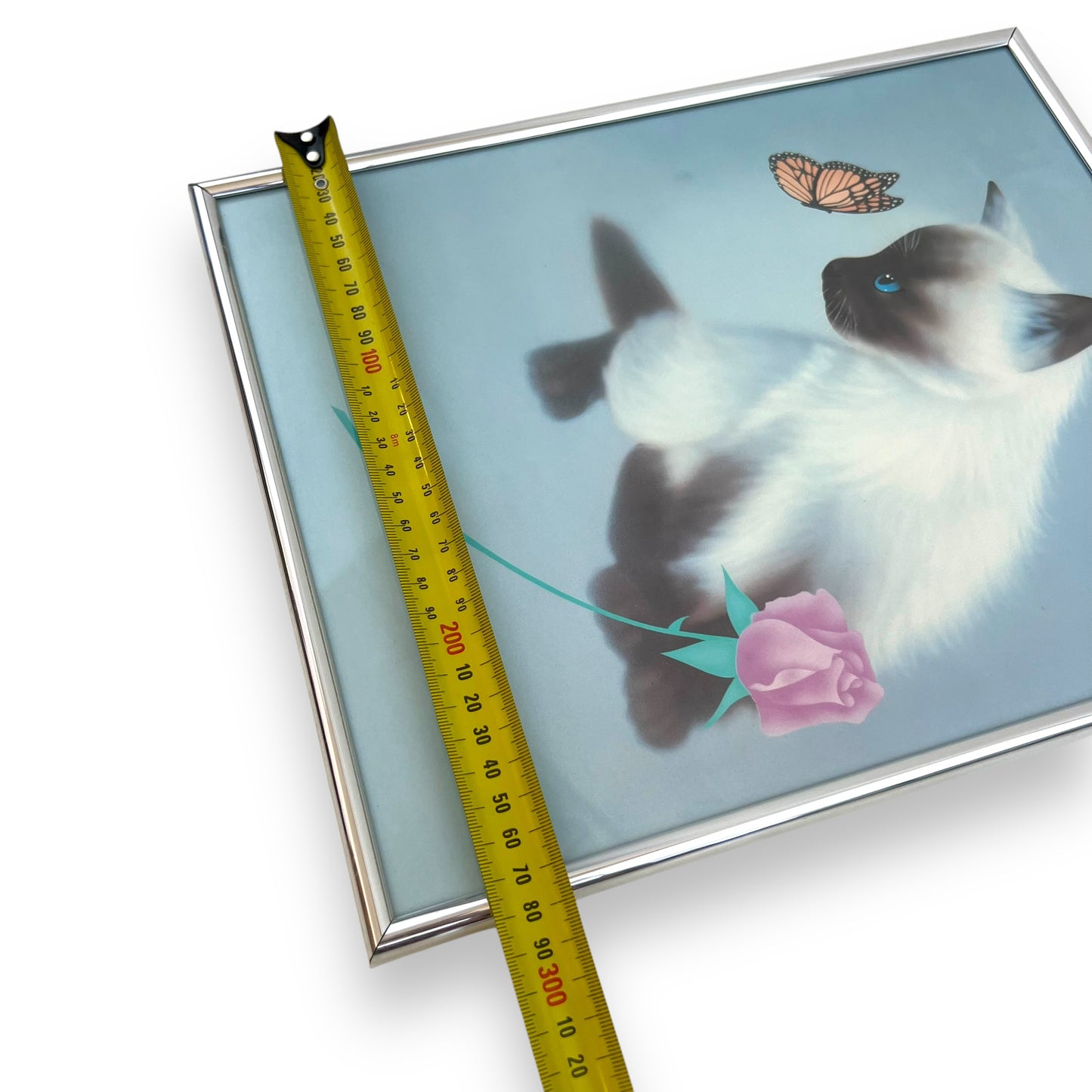 Cat with butterfly and Rose print in frame