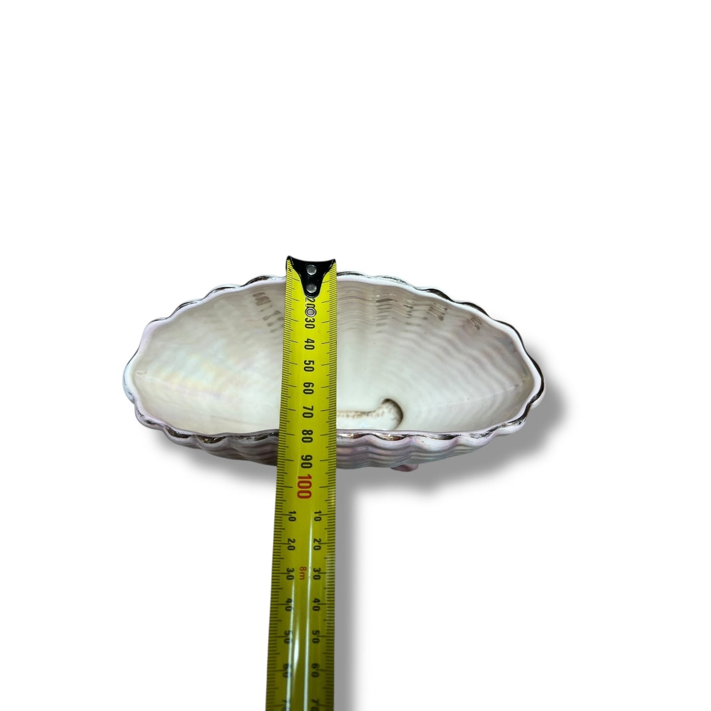 Iridescent Shell Vase