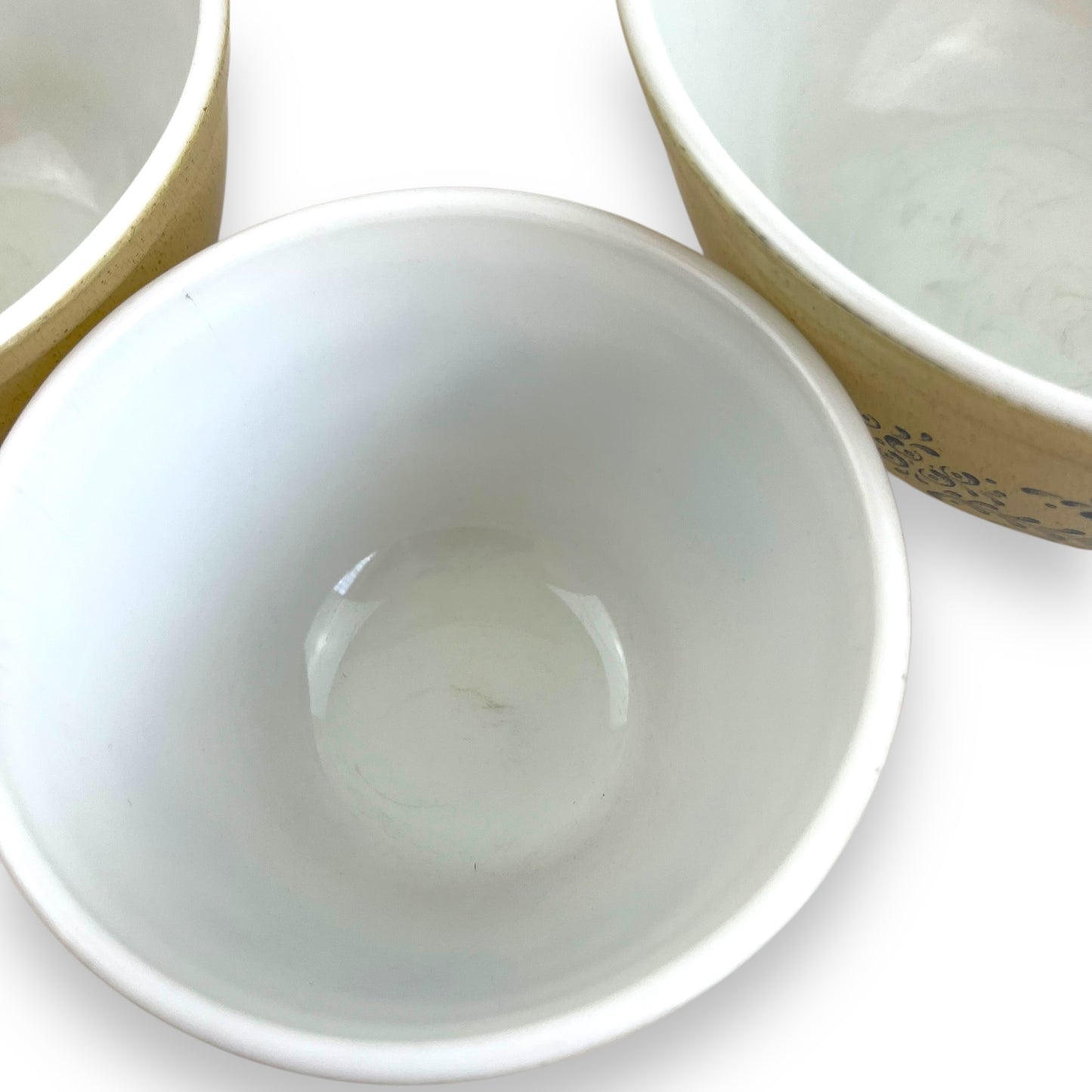 Pyrex Blue Homestead 3-Piece Mixing Bowl Set – Country Farmhouse Blue & Beige