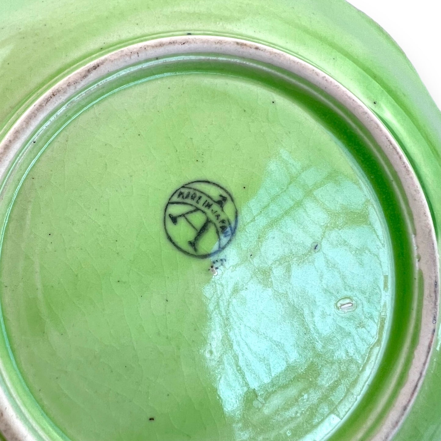 Green Cabbage Leaf Plate