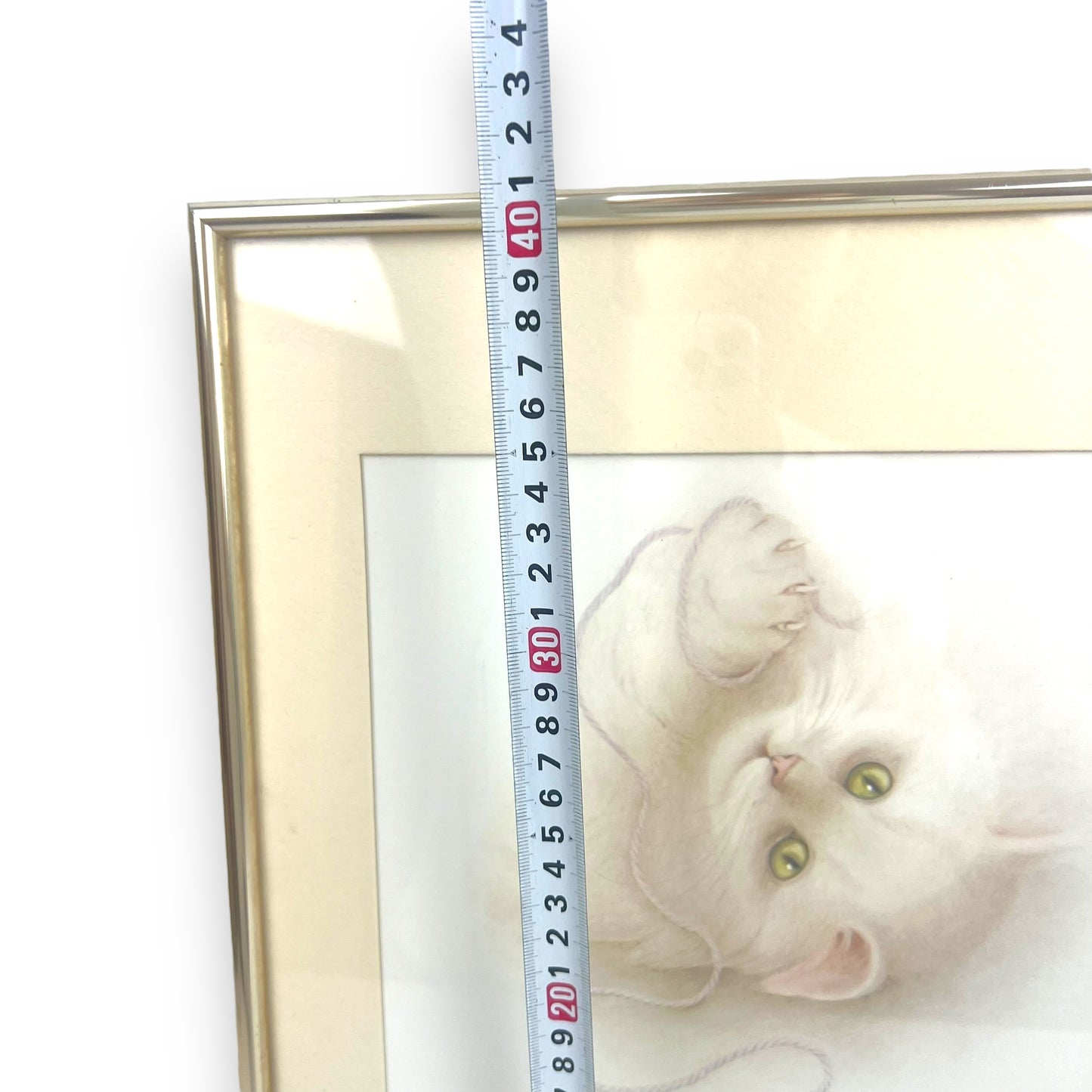 White cat with string print framed