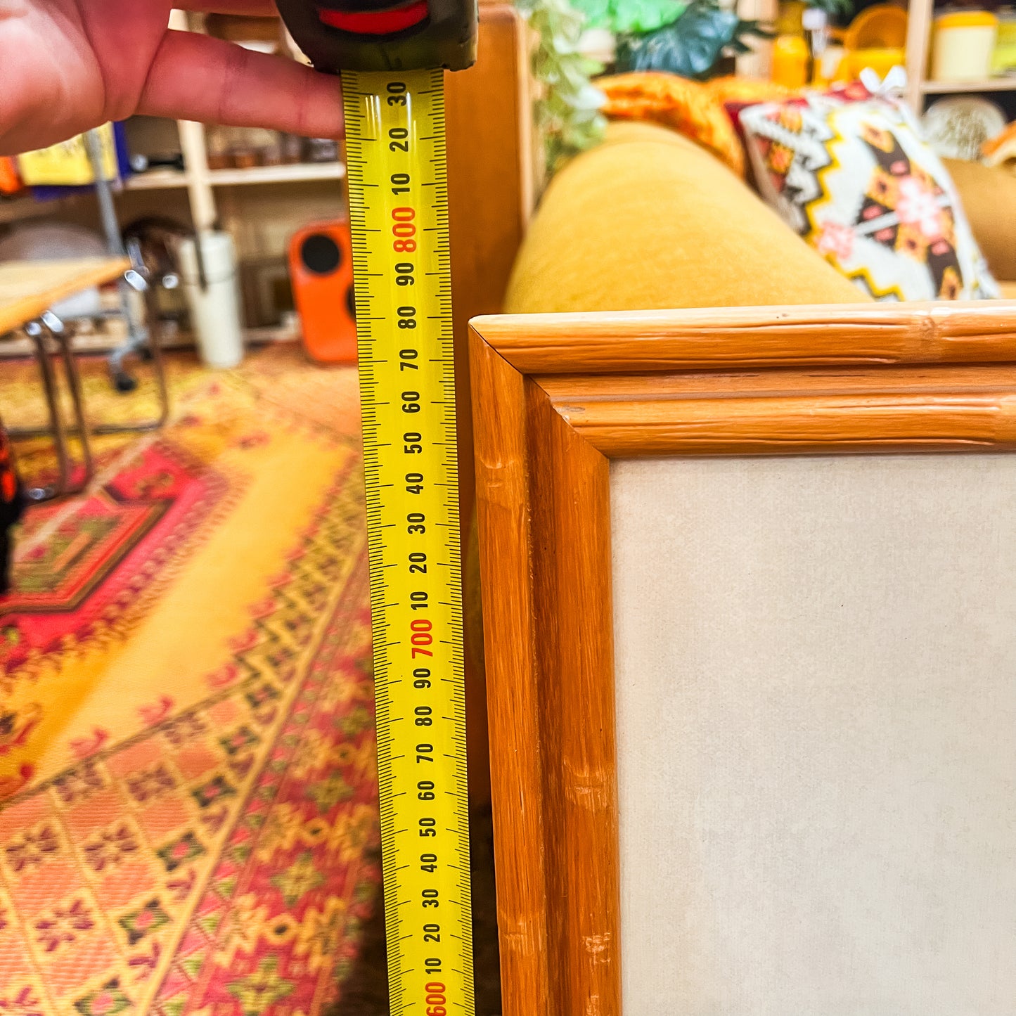 Phil Prentice – Framed Cheetah Print