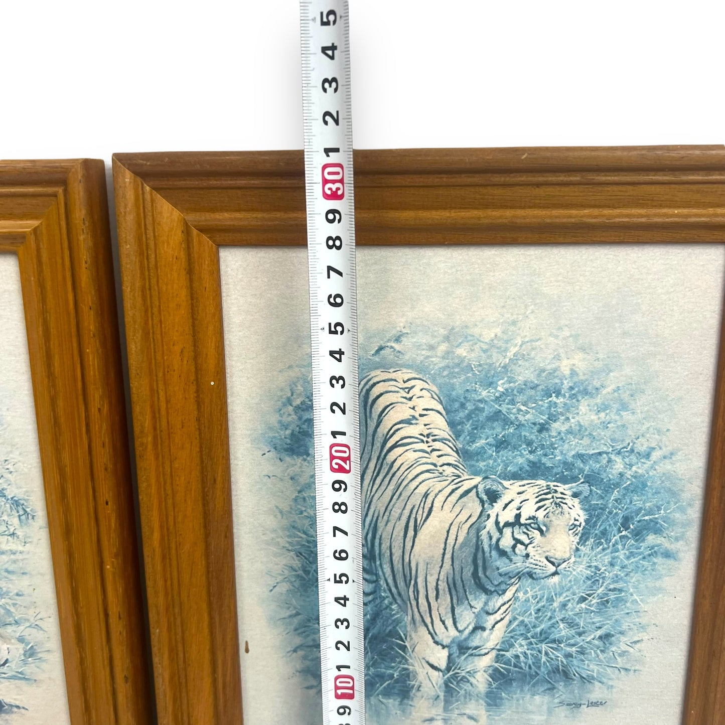 Lion & Tiger Print Set in wooden frame