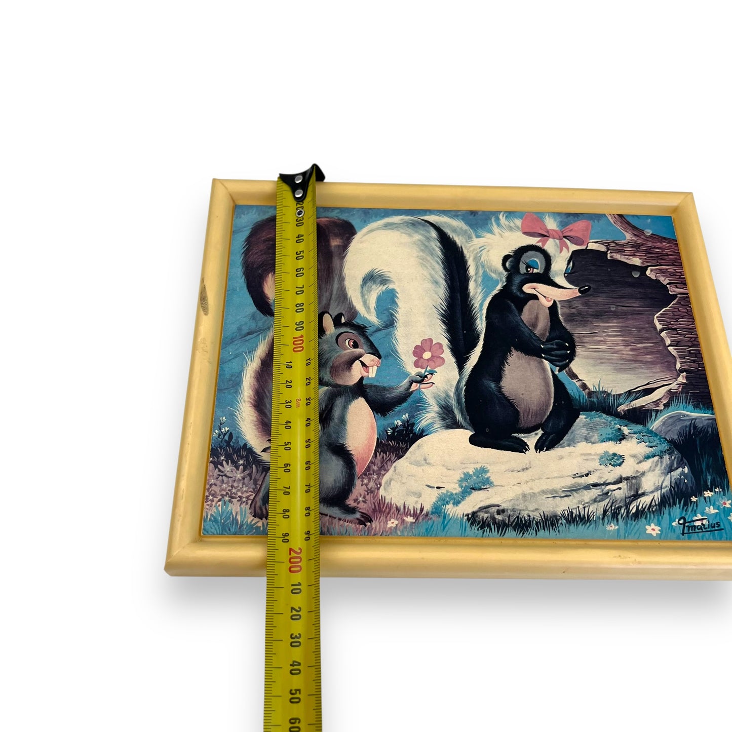 Skunk cartoon picture - made in Italy