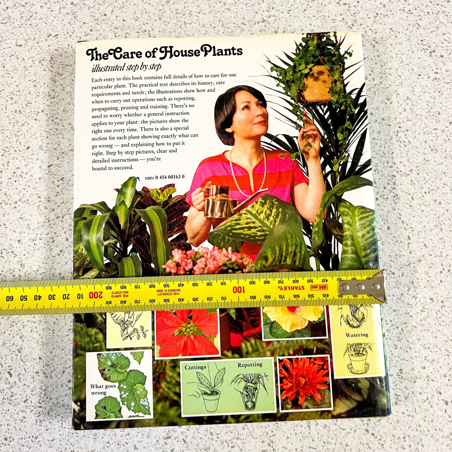 House Plant Care Guide: Illustrated Step-by-Step Book by David Longham