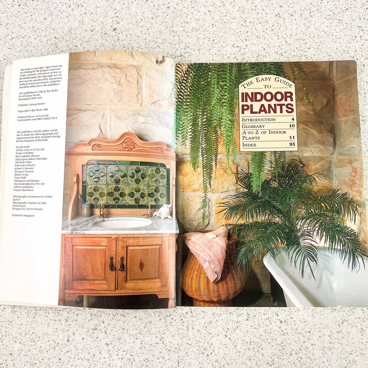 The easy guide to indoor plants soft cover book - By Sylvia Woffenden