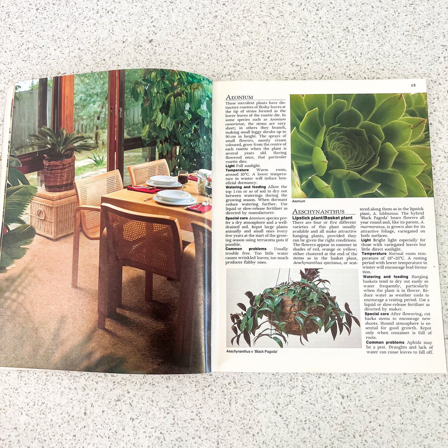The easy guide to indoor plants soft cover book - By Sylvia Woffenden