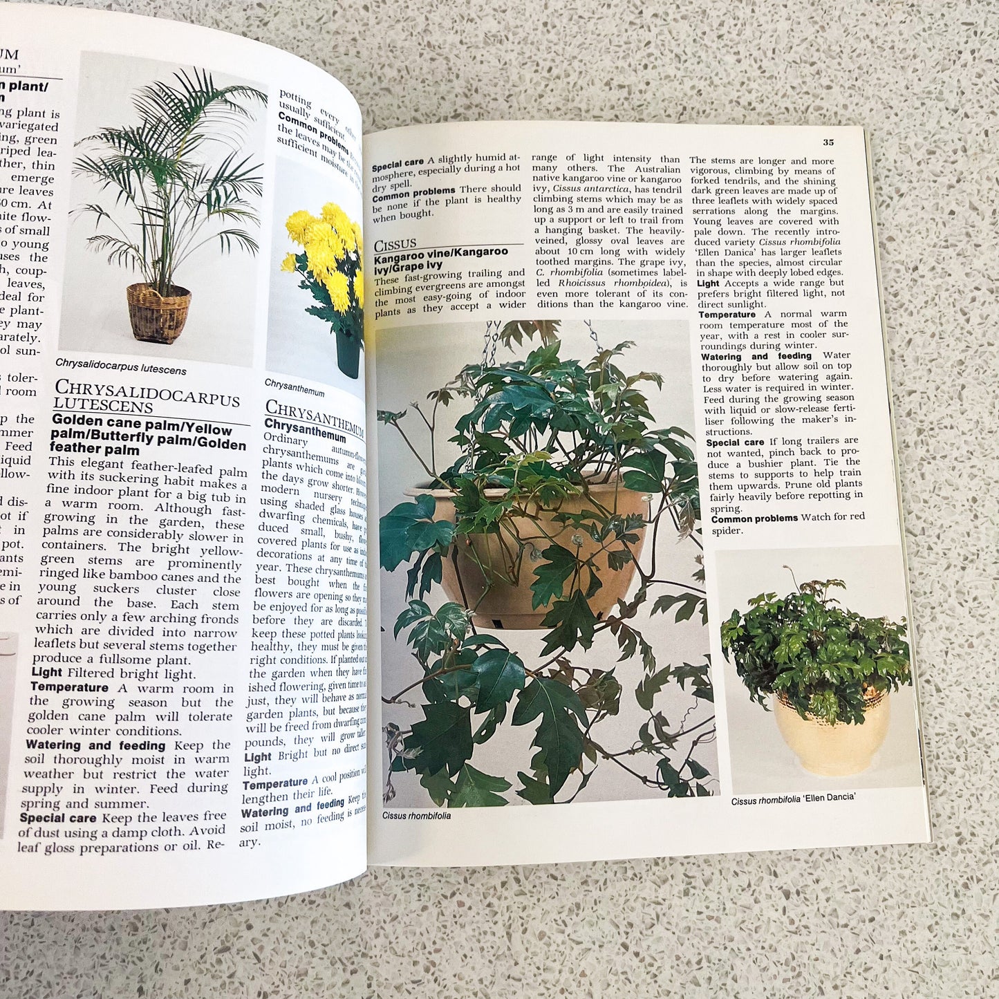 The easy guide to indoor plants soft cover book - By Sylvia Woffenden