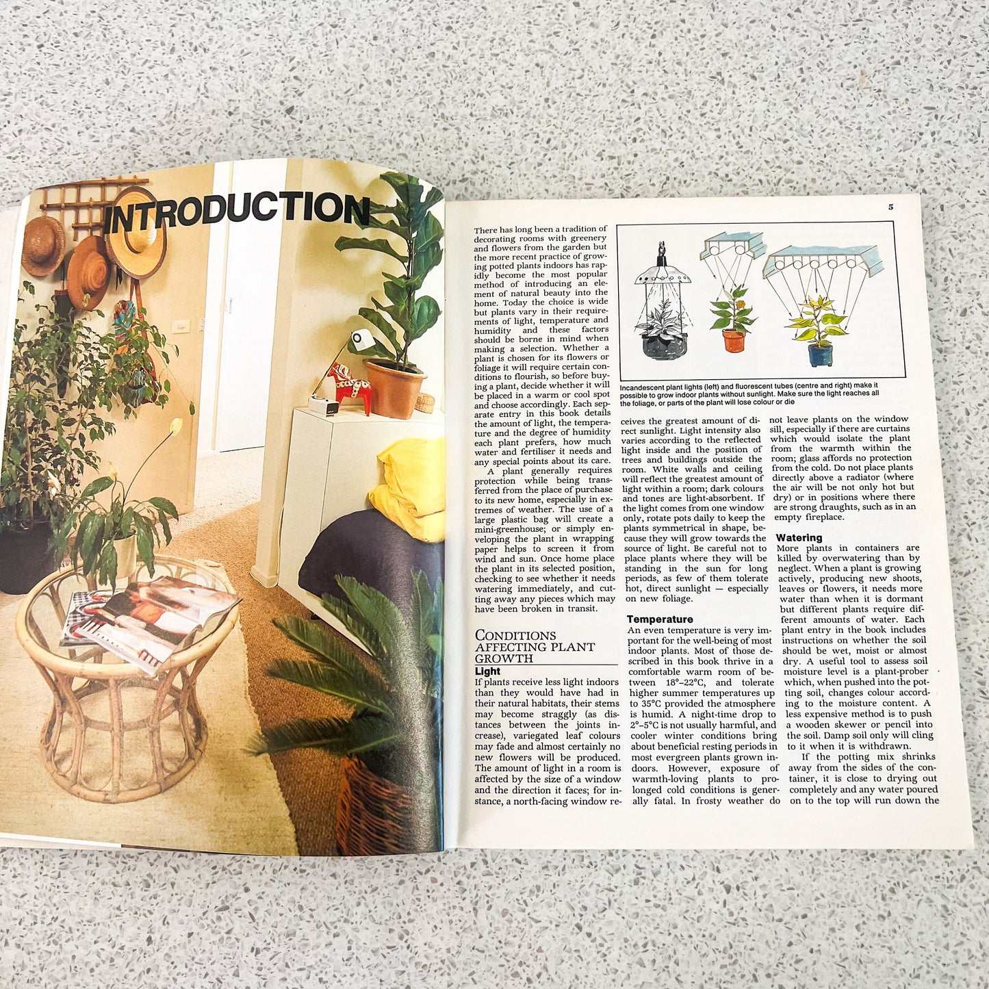 The easy guide to indoor plants soft cover book - By Sylvia Woffenden