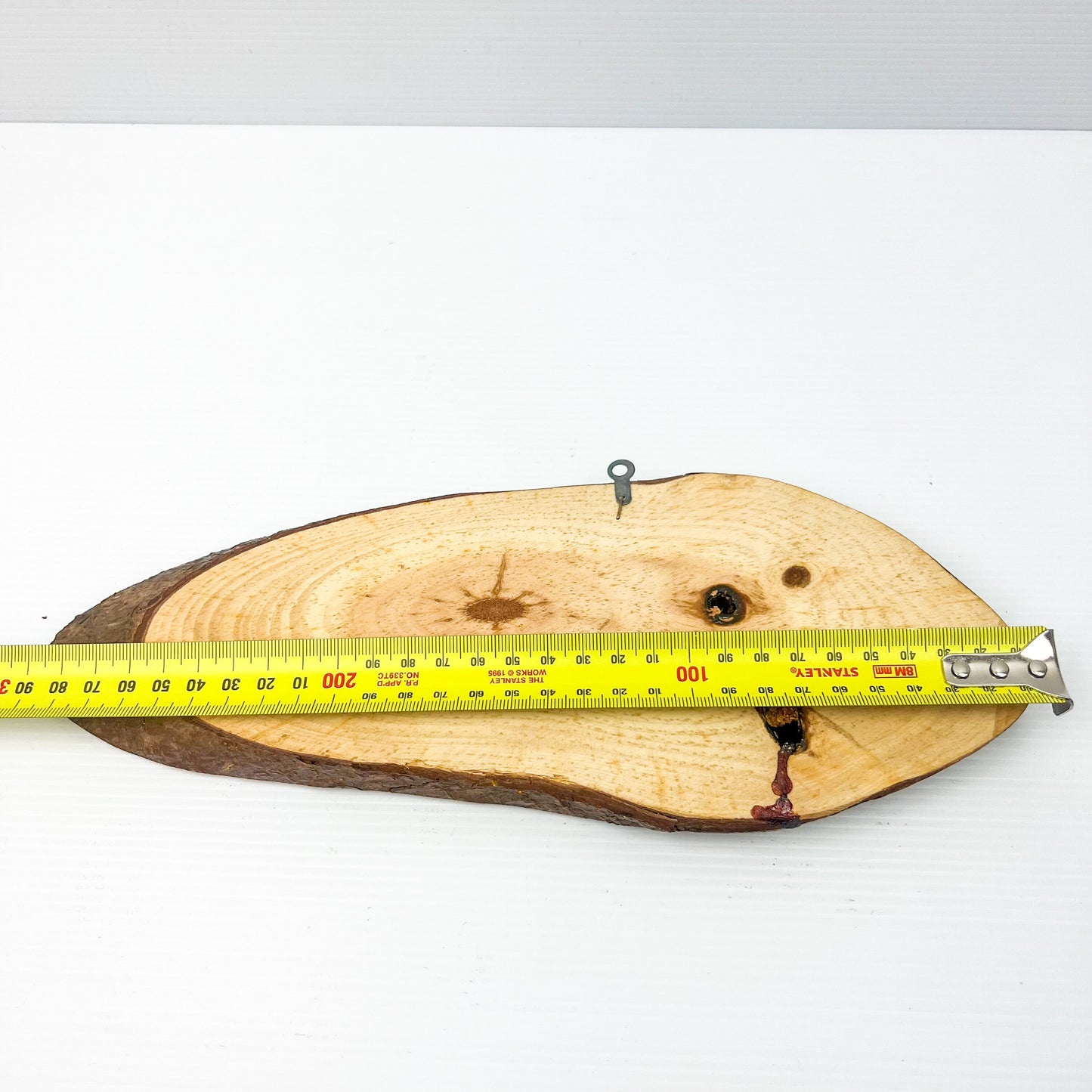 Wood slice with New Zealand kiwi bird artwork hanging wall art