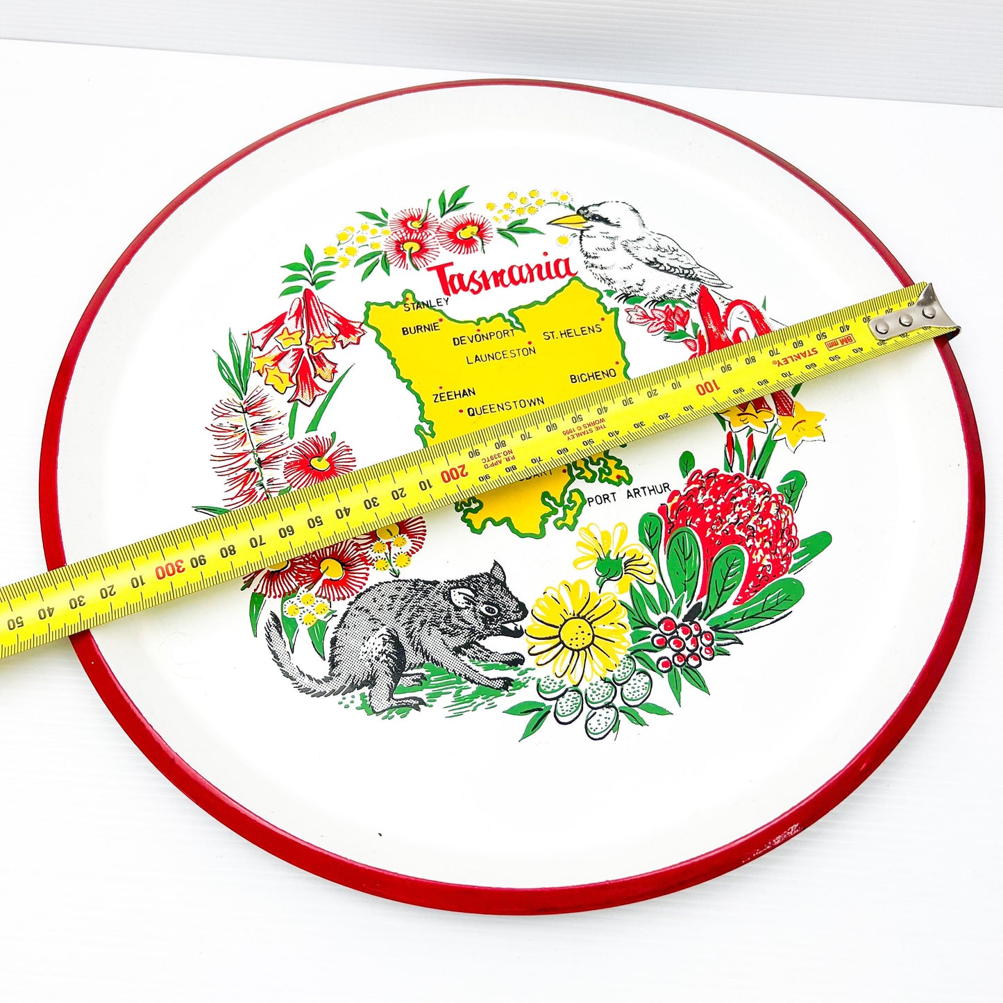 Tasmania Novelty Souvenir Plastic Serving Tray