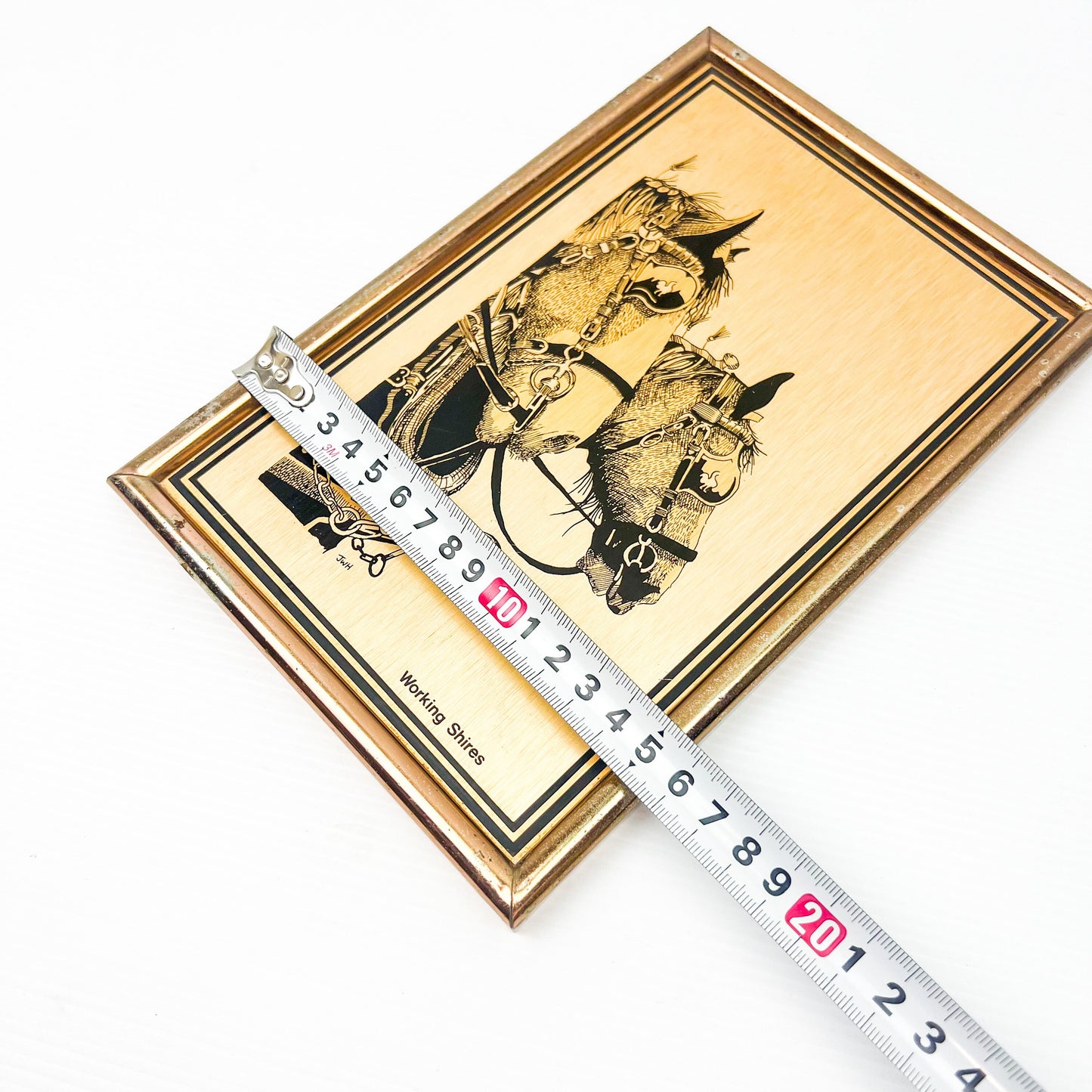 Working Shires Horse Art Print on Metal with frame