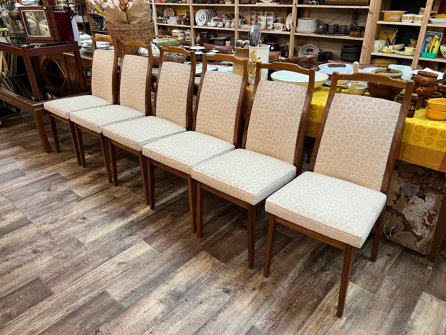 Rosando Mid-Century Queensland Blackbean Dining Chairs