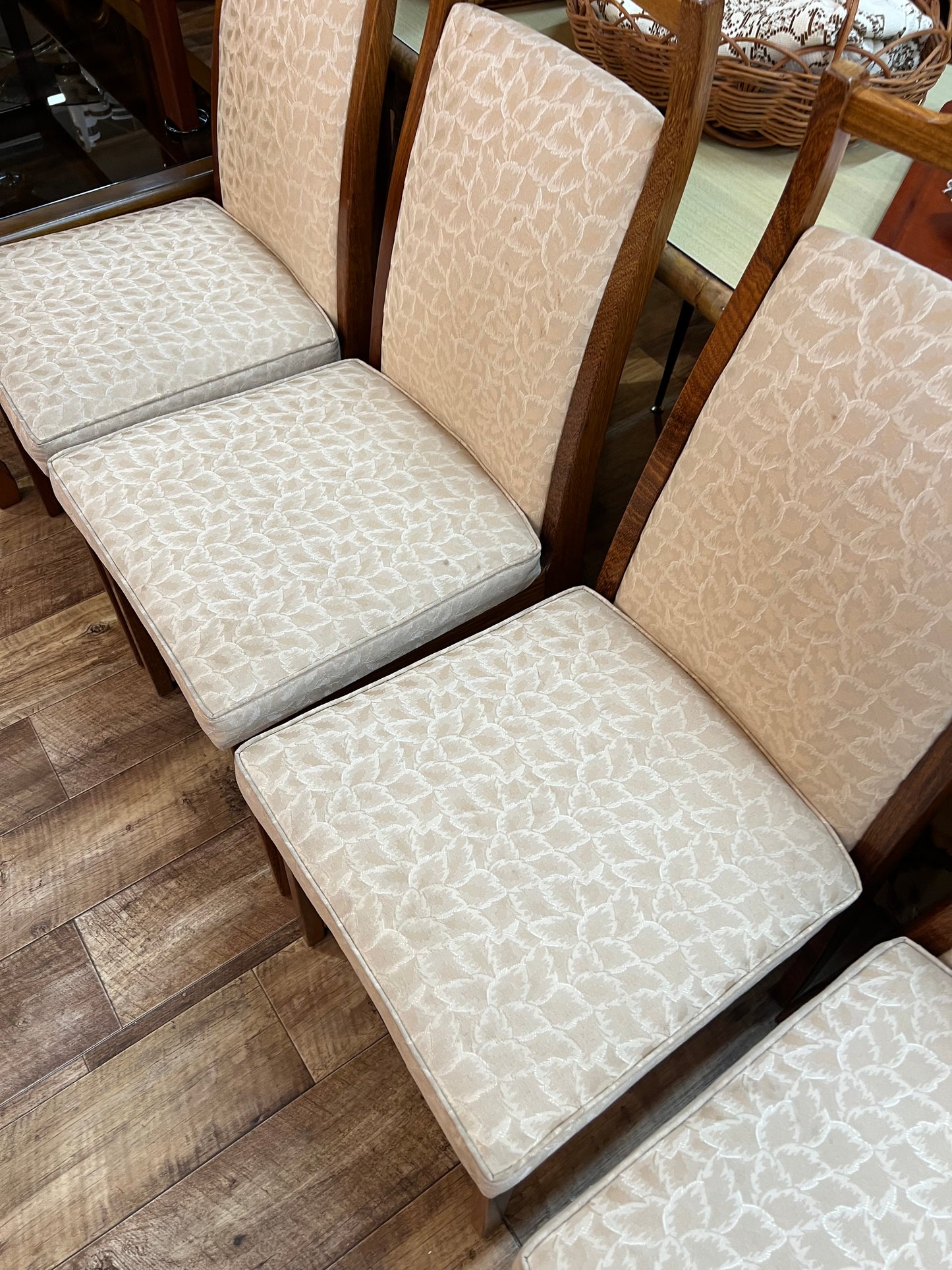 Rosando Mid-Century Queensland Blackbean Dining Chairs