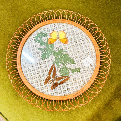 Butterfly Display Plate with Glass Front