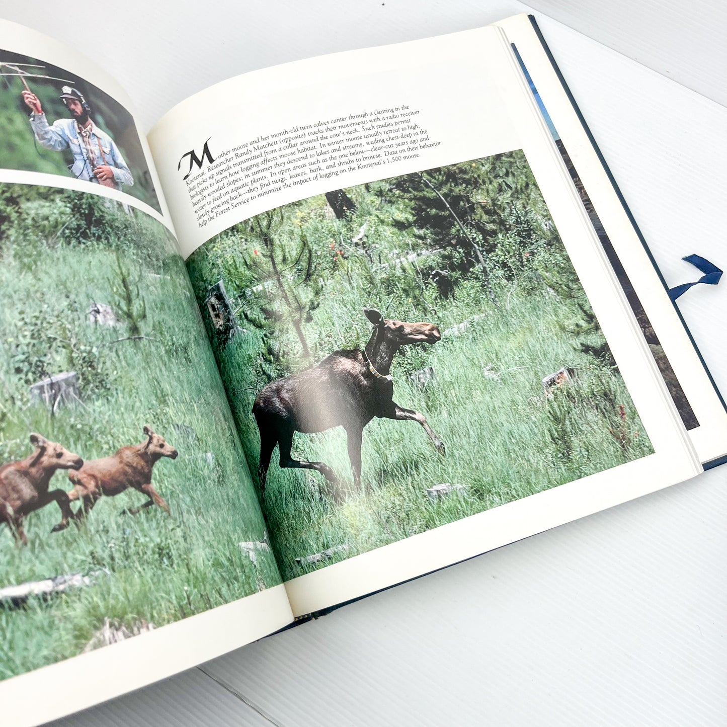 Blue Hard Cover Book Bundle