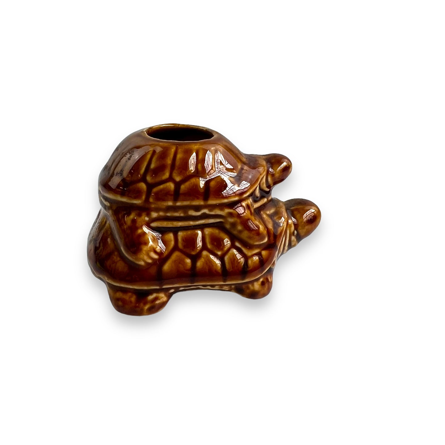 Brown Turtles Toothpick Holder