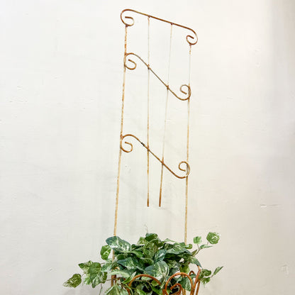 Vintage Garden Plant Pot Stand for climbing plant