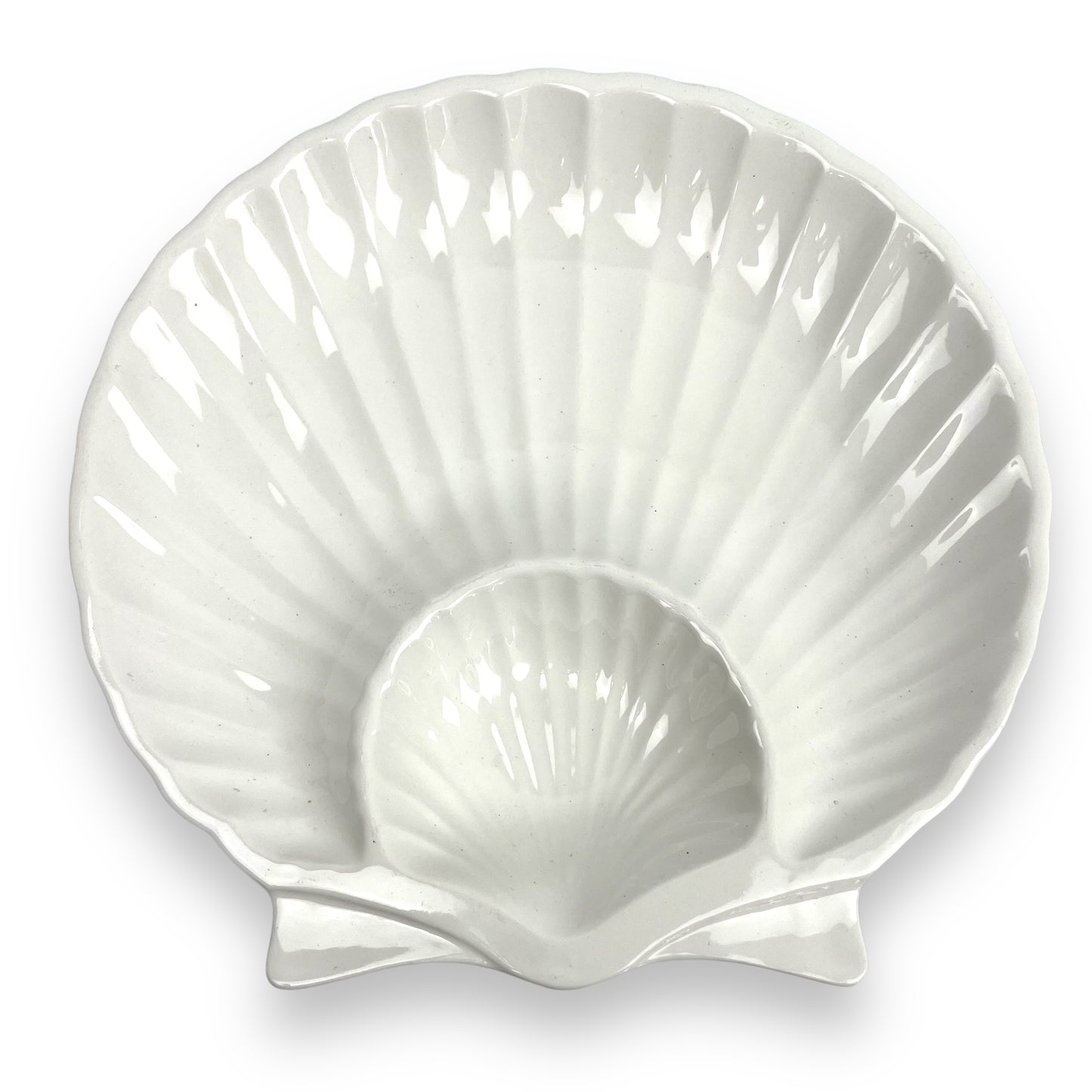 White large shell plate