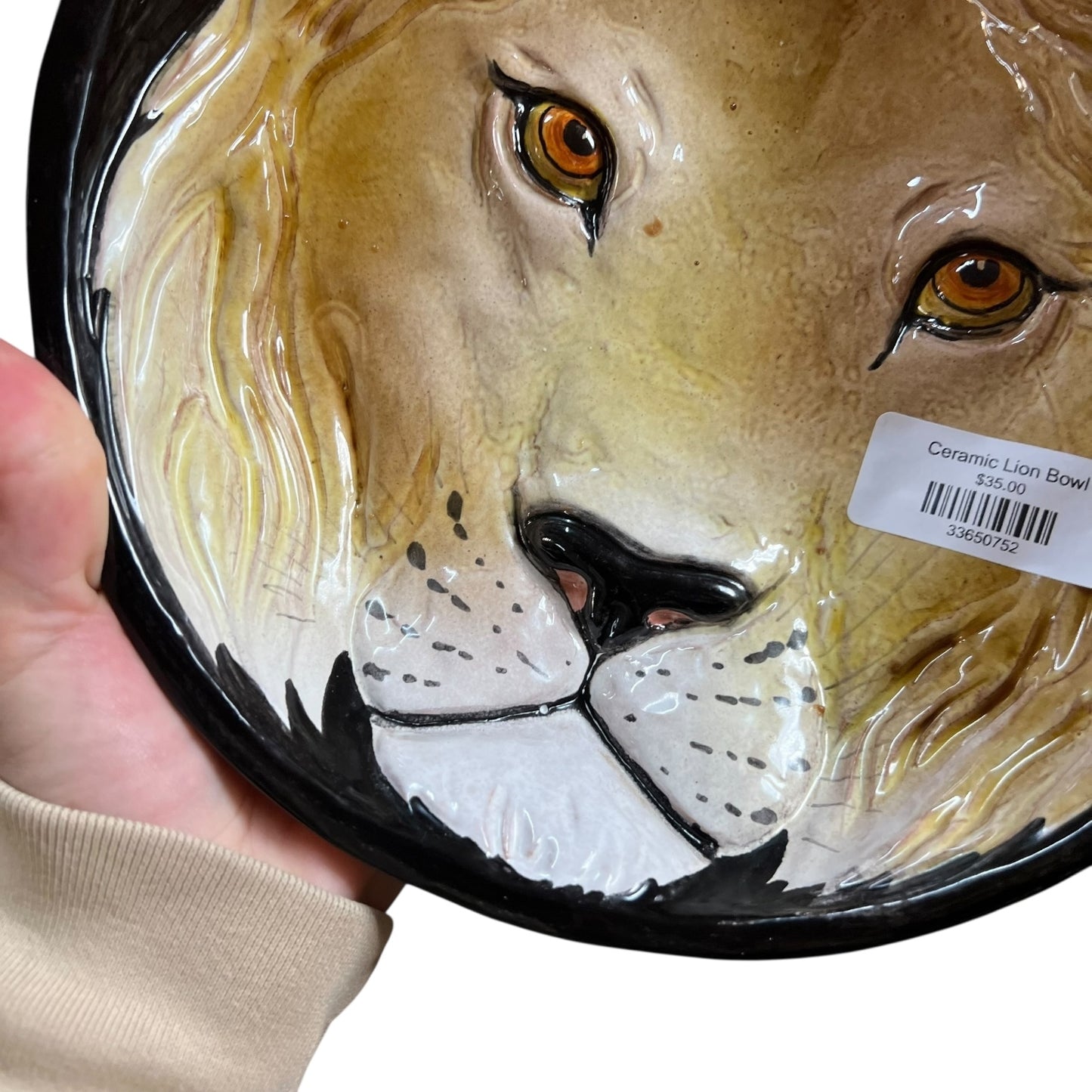 Ceramic Lion Bowl