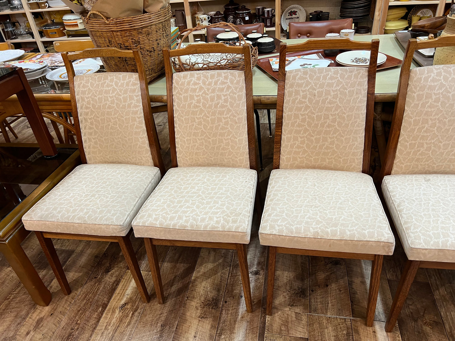 Rosando Mid-Century Queensland Blackbean Dining Chairs