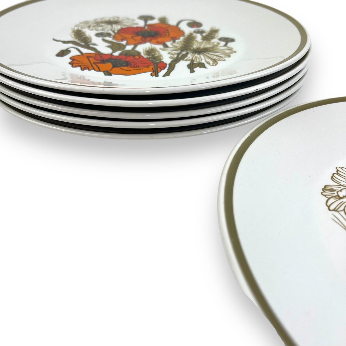 J & G Meakin “Poppy” Dinner Plate set of 6