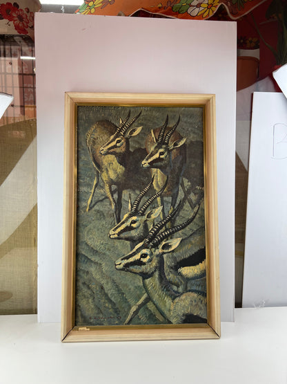 Keith Shackleton – Gazelle Vintage Framed Art Print