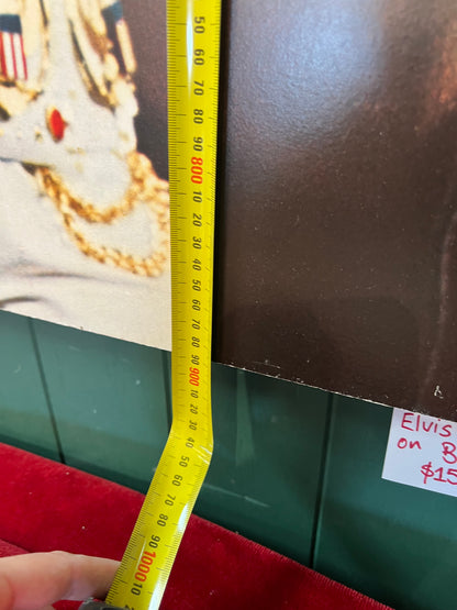 Elvis Presley Concert Photo Print on Board