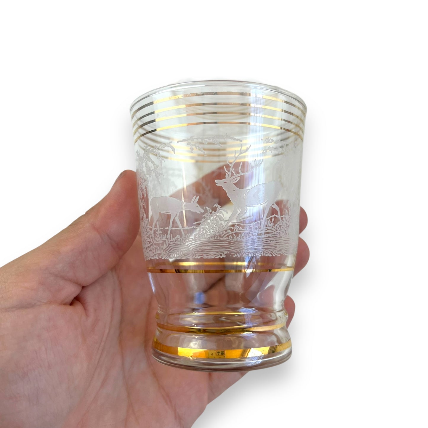 Glass Jug & 6 Cups with gold bands and etched deer/elk pattern