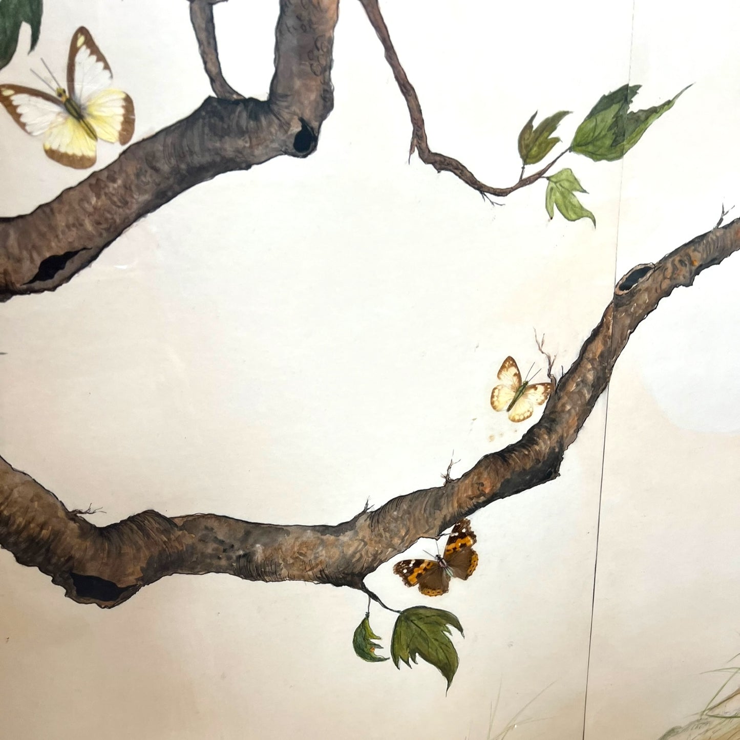 Large Framed Butterfly & Tree Artwork with Real Butterfly Wings — Signed M. Ginsberg, 1982