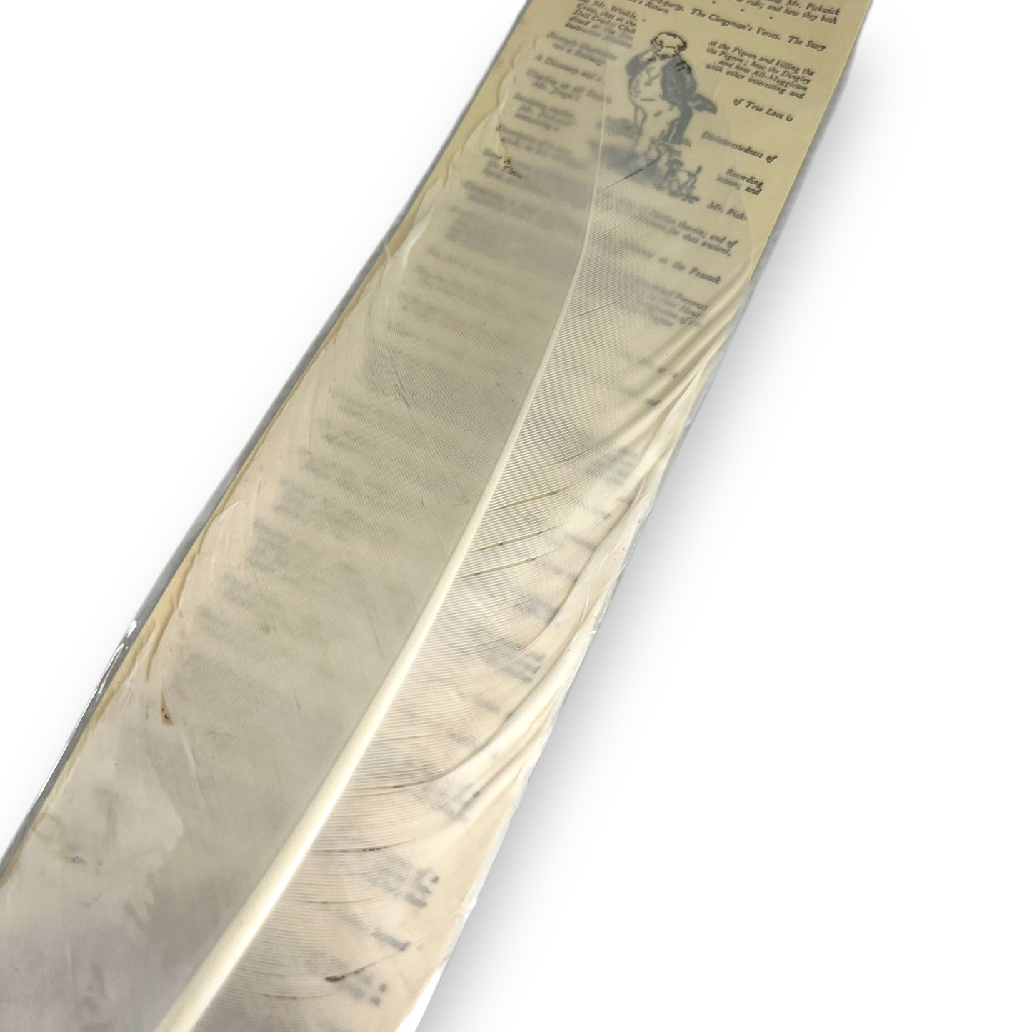 Charles Dickens Feather Quill Pen - The Pickwick Club Design