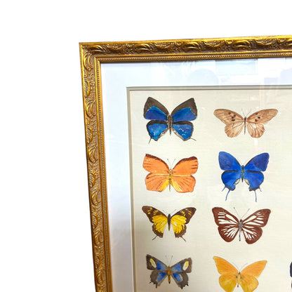 Framed Original Butterfly Watercolour Painting