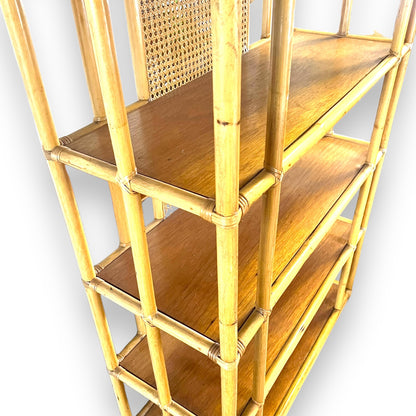 Large Cane Display Shelf