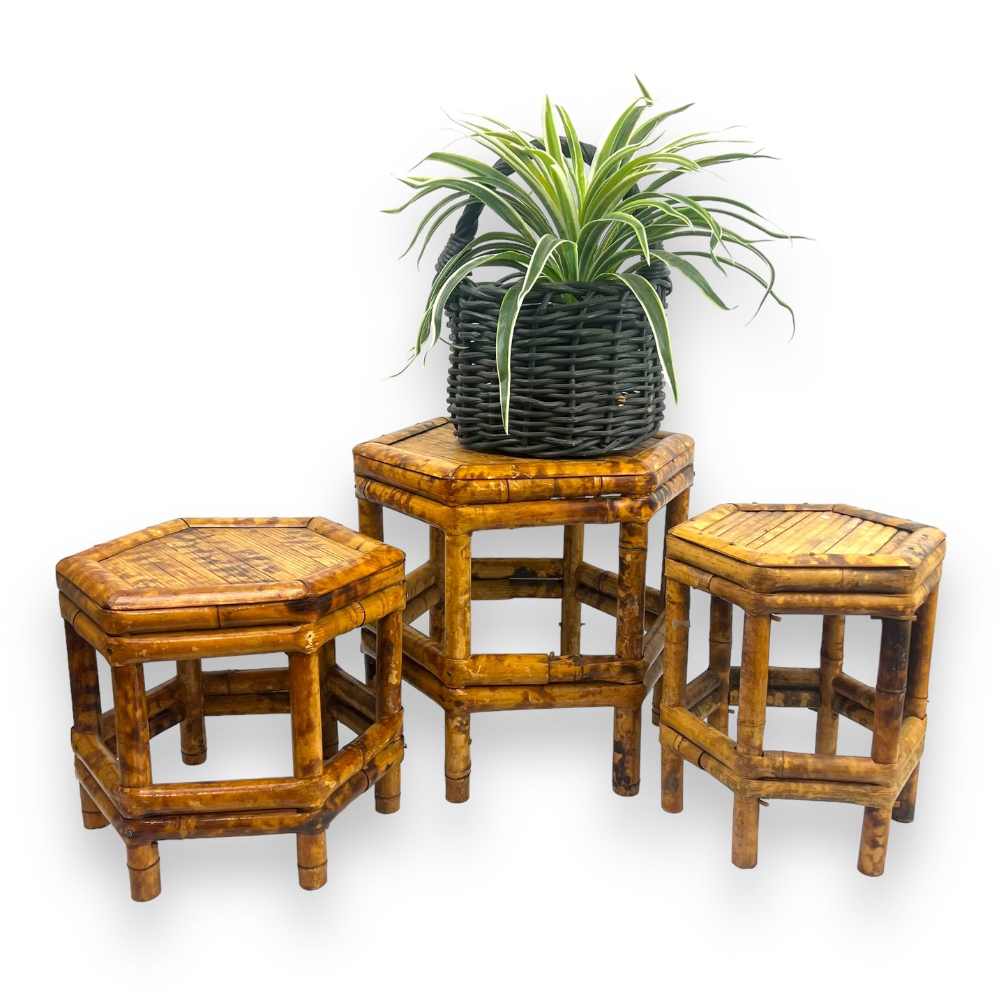 Hexagon Plant Stand Set x3 Tortoiseshell Cane