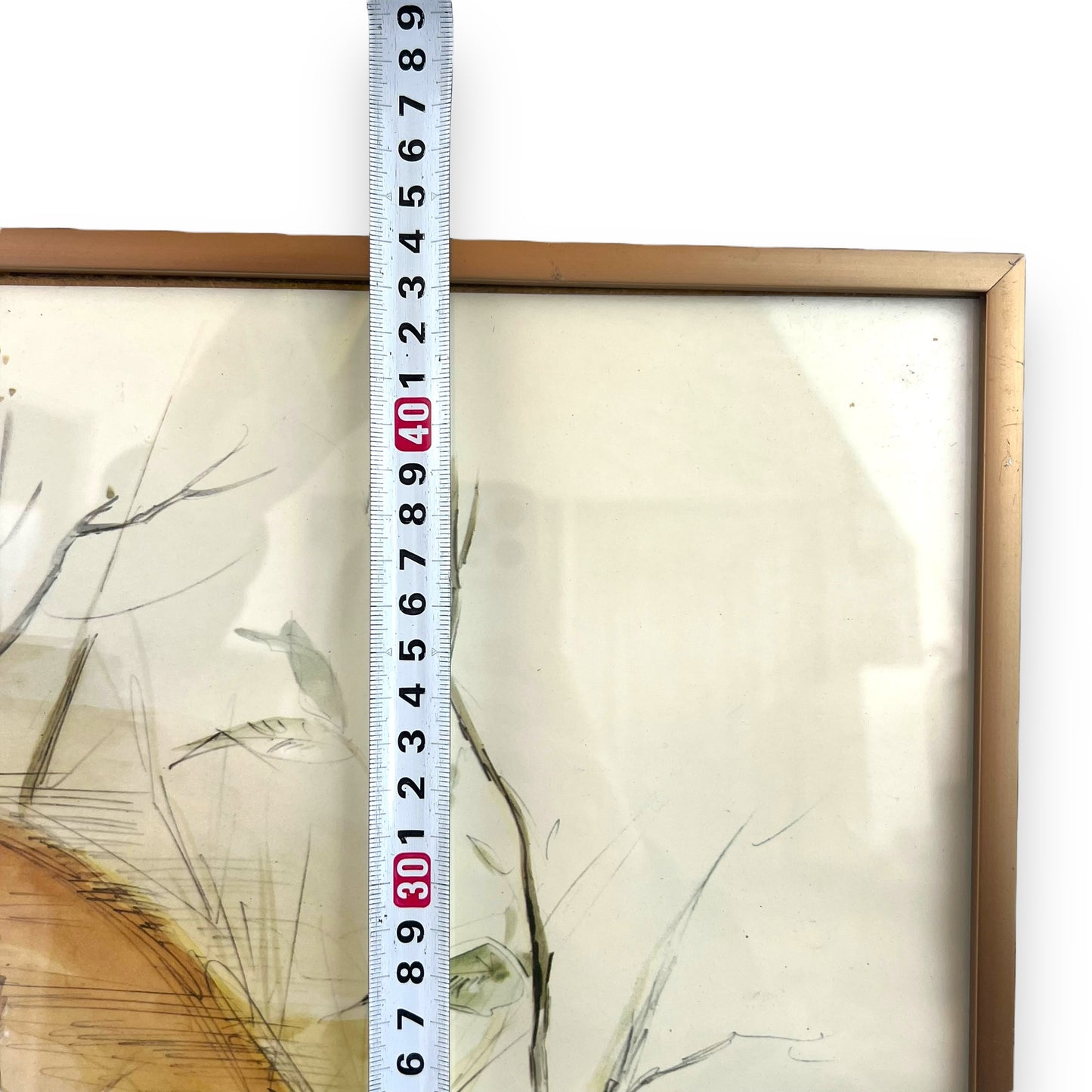 Red Fox framed Print - Woho  79