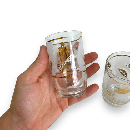 Gold leaf frosted glass set of 6