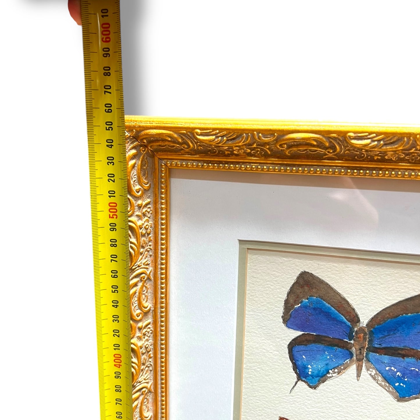 Framed Original Butterfly Watercolour Painting