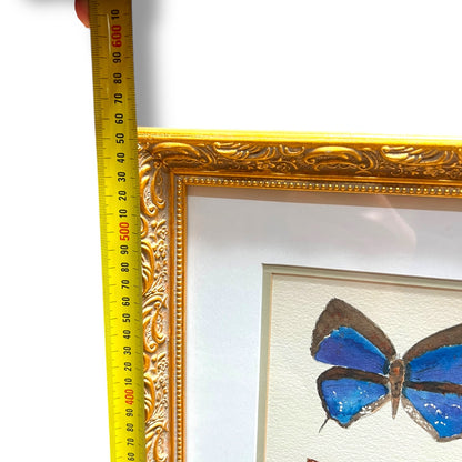 Framed Original Butterfly Watercolour Painting