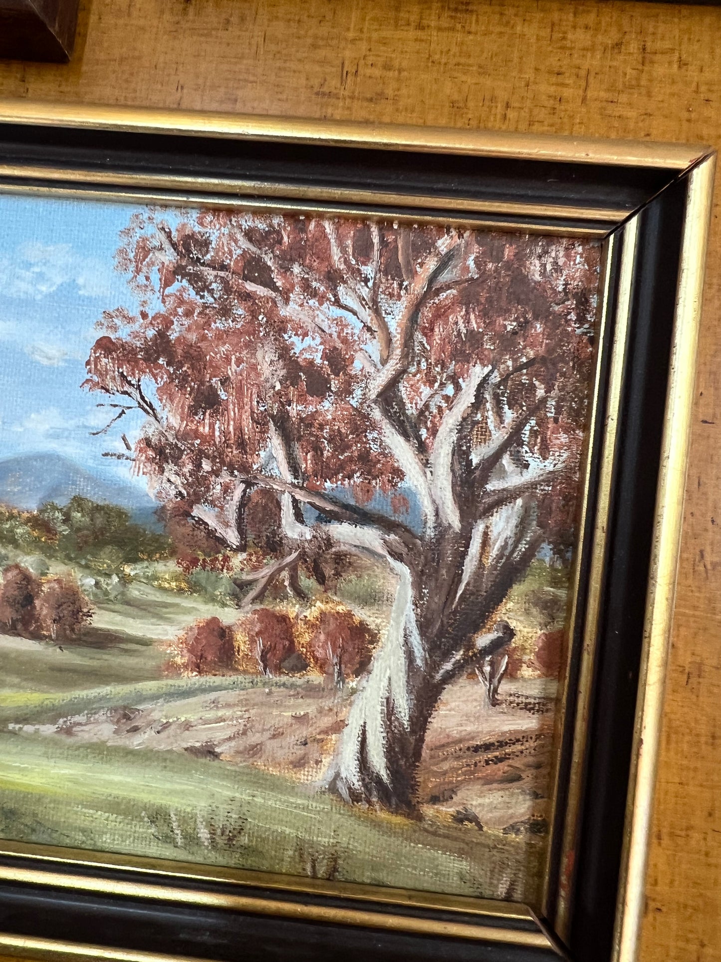 Australian Landscape Oil Painting – Signed V. Kynnersley