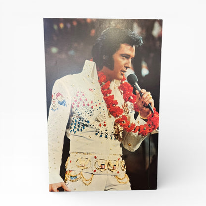 Elvis Presley Concert Photo Print on Board