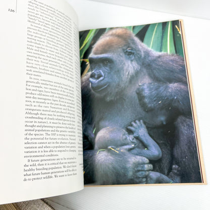 Beige & Grey Hard Cover Book Bundle