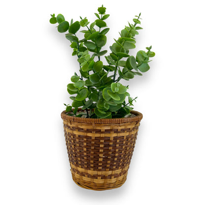 Small Cane Plant Basket with plastic lining
