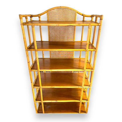 Large Cane Display Shelf
