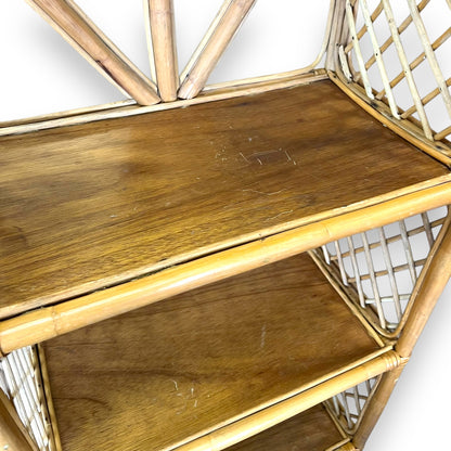 Cane Hutch Bookshelf