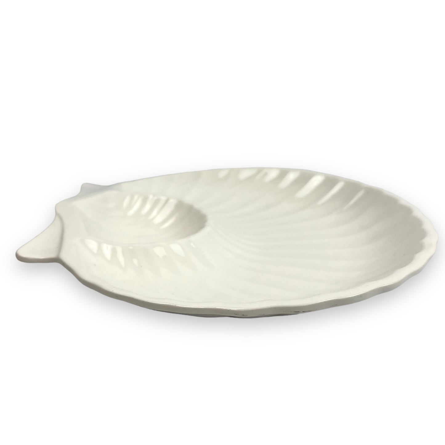 White large shell plate