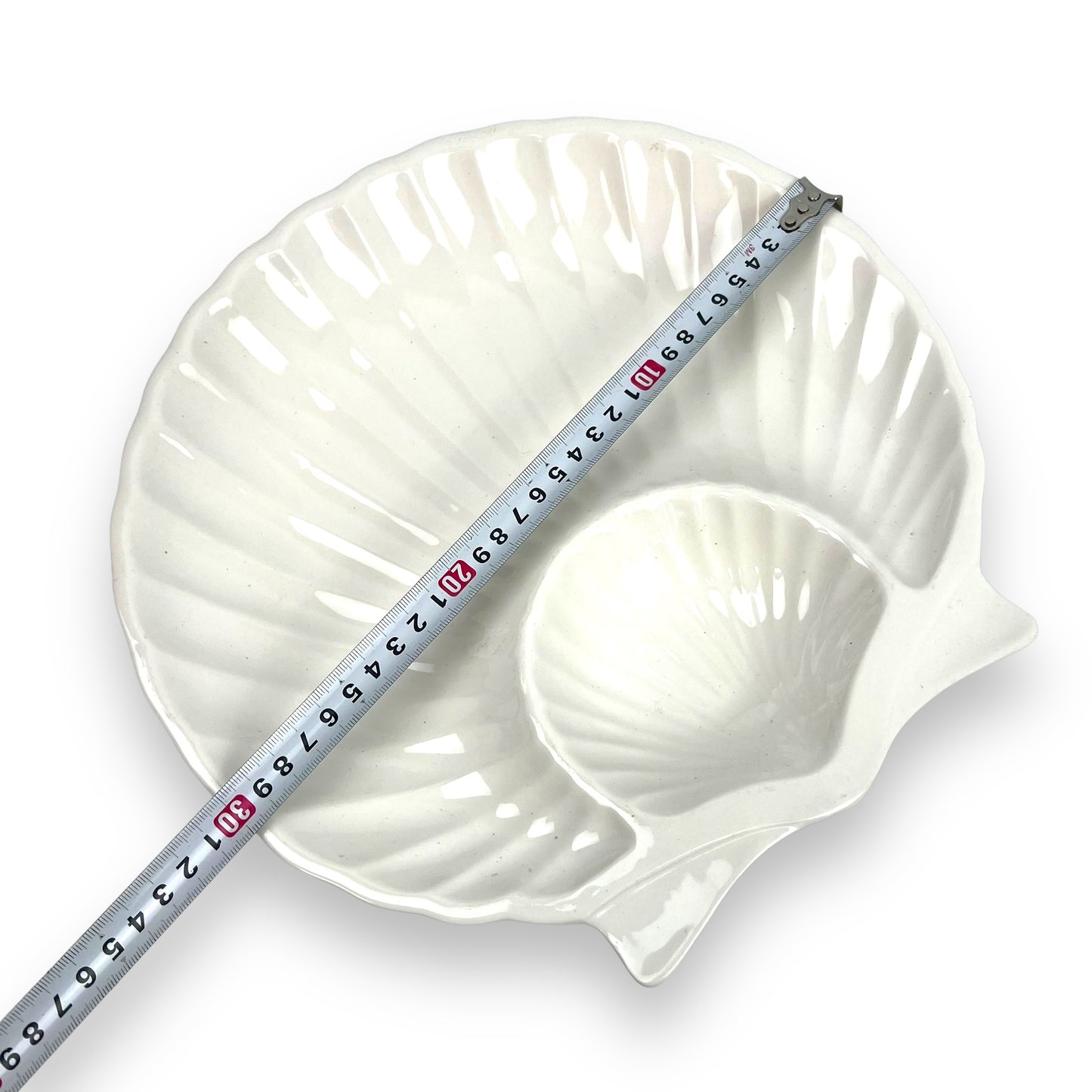 White large shell plate