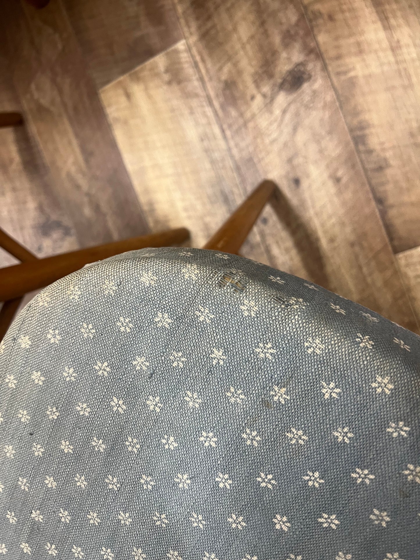 Pair of Timber Dining Chairs with Blue Patterned Upholstered Seats