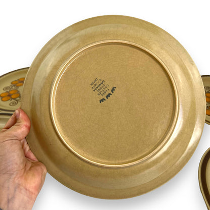 Set of 6 Three Castles Stone “Grenada” dinner plates