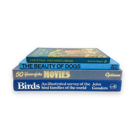 Blue Hard Cover Book Bundle